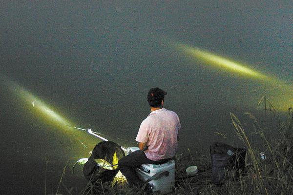 夜钓鲫鱼技巧，最佳时间是夏季