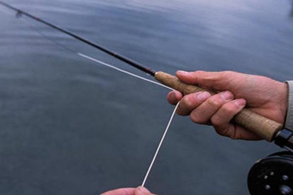 夜钓鲫鱼技巧，最佳时间是夏季