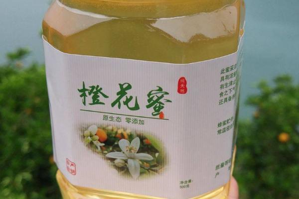 橙花蜜简介，蜜源是常绿植物橙树