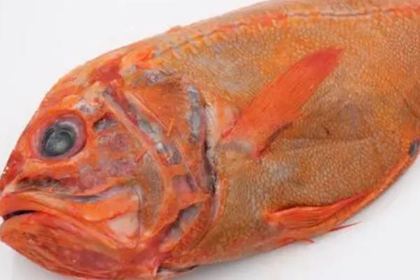 为何建议不要食用长寿鱼，原因是其体内含有较多的有机汞