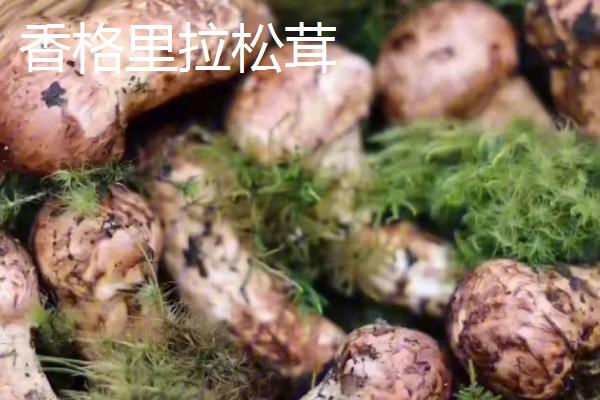 云南省临沧市的特产，凤庆腊肉具有独特风味