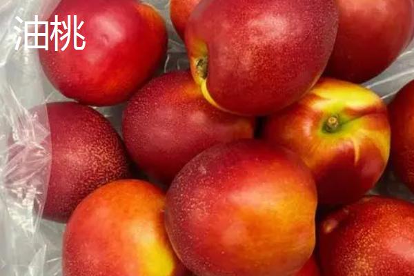 桃子有哪些品种，包括油桃、毛桃、蟠桃等种类