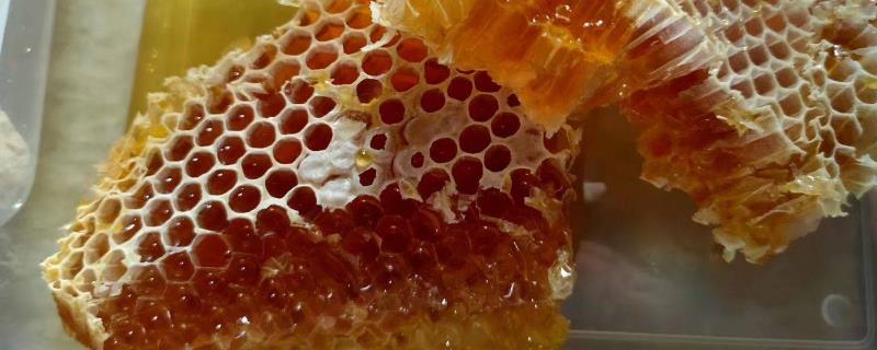 蜂巢蜜为什么比蜂蜜贵，主要原因是它不容易造假