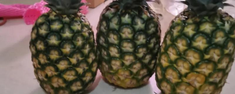 凤梨和菠萝的区别，外表、味道和价格均不同