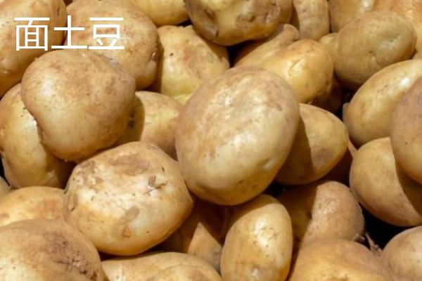 面土豆和脆土豆的区别，面土豆形状不规格、脆土豆一般较圆润