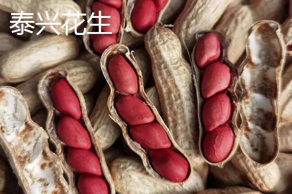 江苏省泰州市的特产，三腊菜的名气传遍大江南北