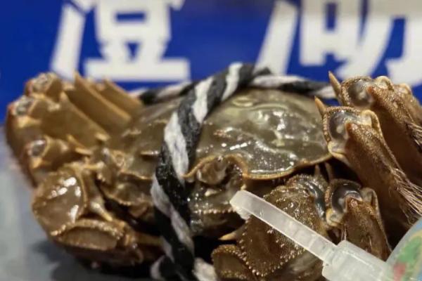 阳澄湖大闸蟹几月份上市，通常在9月份上市