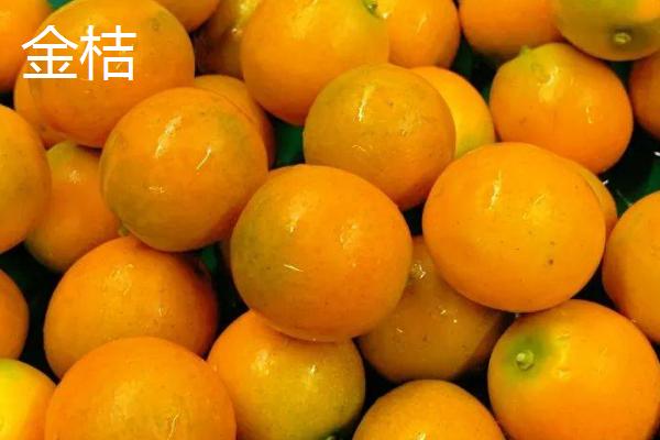 哪个品种的柑橘最好吃，这6种你吃过几种