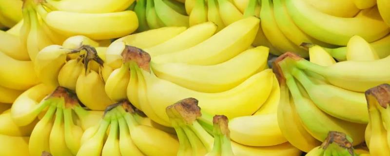 香蕉一斤有几根，一斤香蕉大概有四根左右