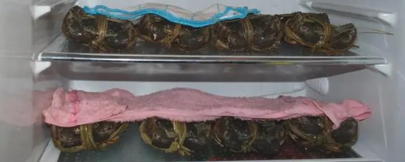 螃蟹怎么保存，可以清水暂养或冰箱冷藏