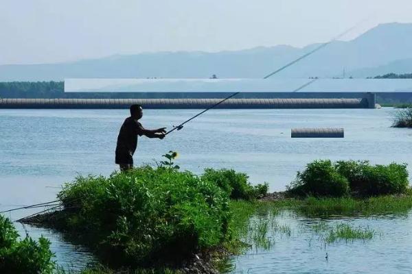 垂钓大鱼的最佳深度，在大型水体中要钓5米以上的深度