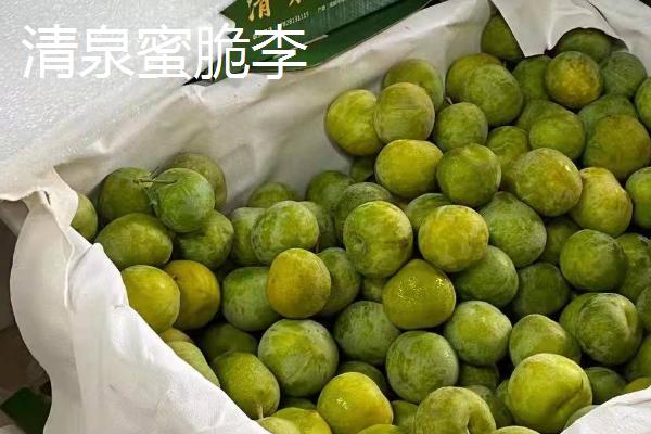 晚熟李子有哪些品种，常见以下6种