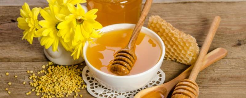 北方蜂蜜和南方蜂蜜的区别，蜂种、黏稠度、蜜源植物均不同