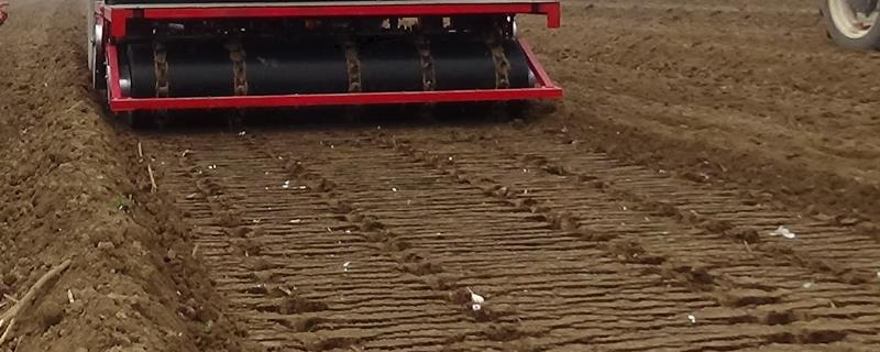 大蒜跳蒜的原因，拖拉机旋耕作业会导致跳蒜严重