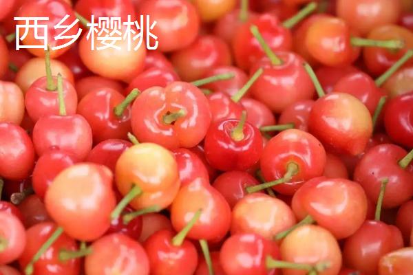 陕西省汉中市的水果特产，洋县西瓜闻名遐迩