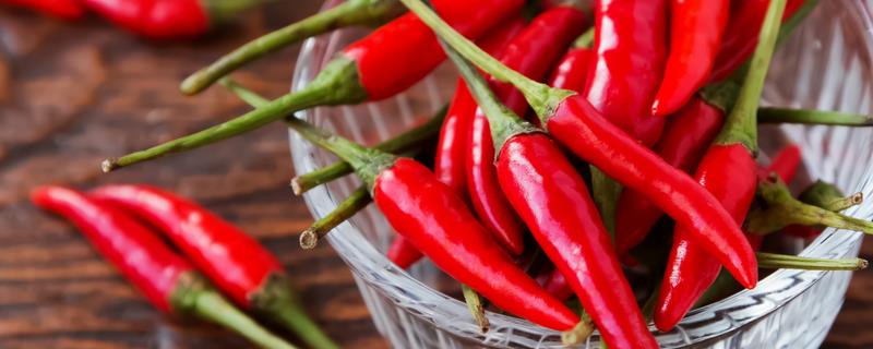 辣椒移栽成活率低是什么原因，可能是幼苗带菌或土壤盐分高等