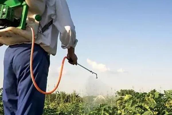 低碳防治蔬菜虫害的方法，将清水、尿素、洗衣粉混匀后可防治多种害虫