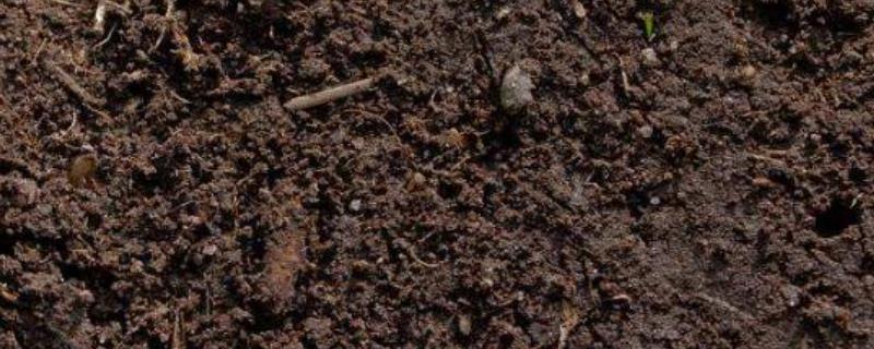 土壤非活性孔隙的介绍，孔隙很小
