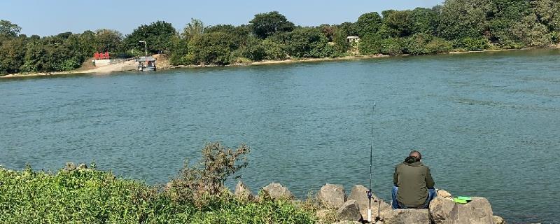 夏季钓鱼有小鱼闹窝怎么办，可以用素饵或打素窝等