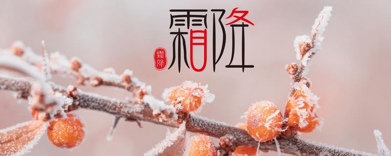 山明水净夜来霜，数树深红出浅黄描写的是什么节气，是指霜降时节