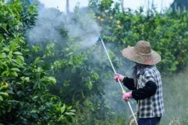 打除草剂最低温度是多少，通常取决于除草剂的类型