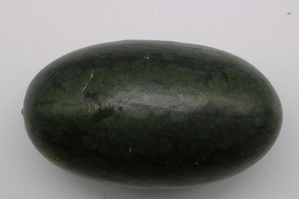 产量高的早熟西瓜品种，常见的有早春红玉、黑美人等