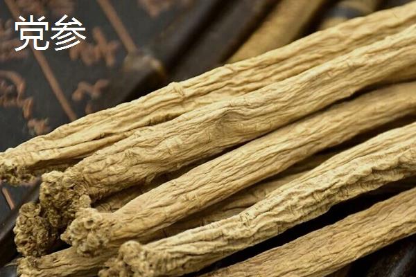 明党参与党参的区别,科属、外形均不同