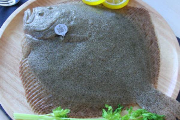 葫芦岛兴城的特产，有红崖子花生、烤明虾等