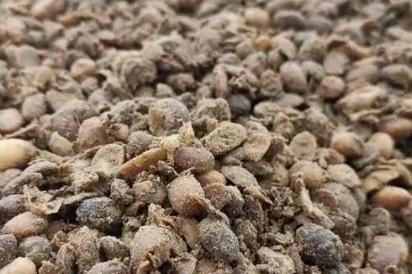 大豆怎么施肥，基肥以腐熟有机肥为主