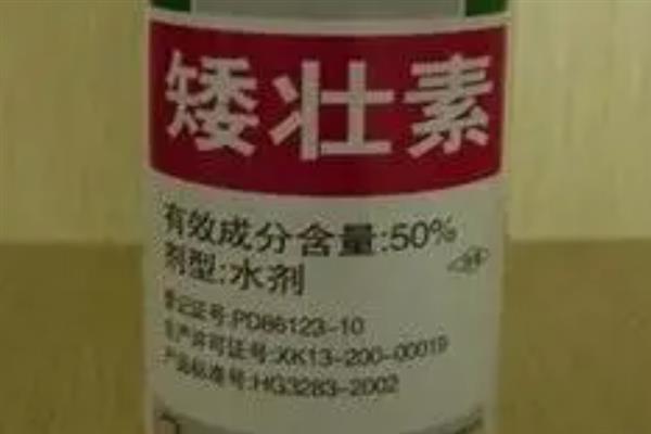 矮壮素的危害，刺激性比较强会使植物停止生长