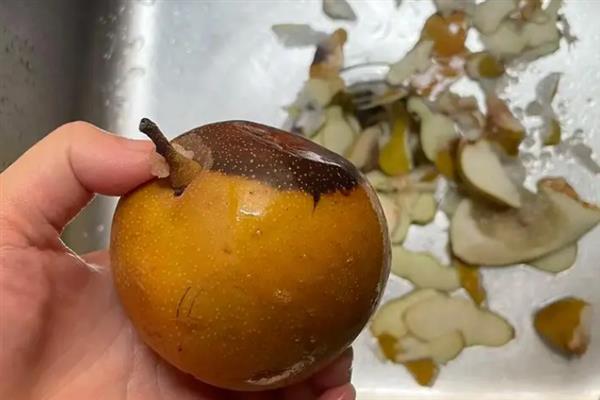 将梨洗干净的方法，用淘米水清洗可以有效去除农药等污渍