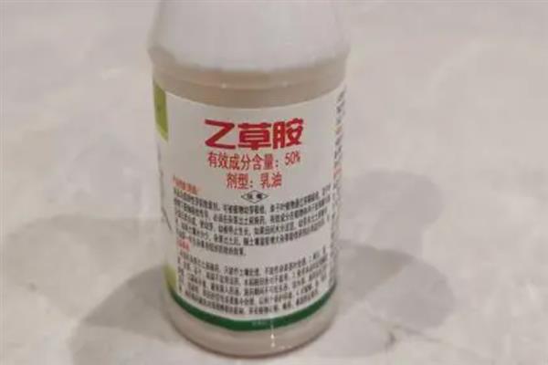 红薯田除草剂的种类，一般选用乙草胺、精喹禾灵等药物