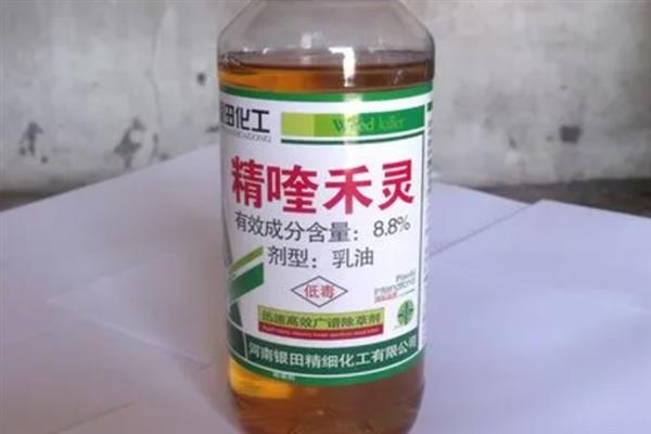 红薯田除草剂的种类，一般选用乙草胺、精喹禾灵等药物