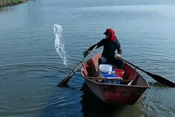 鱼塘消毒一般用什么药，可以选择生石灰或漂白粉等