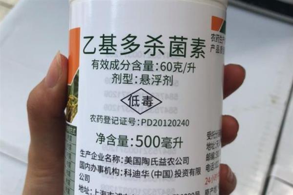 水稻钻心虫用什么药防治，可使用阿维菌素、茚虫威等