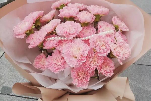 粉色康乃馨的寓意，寓意美丽、年轻等