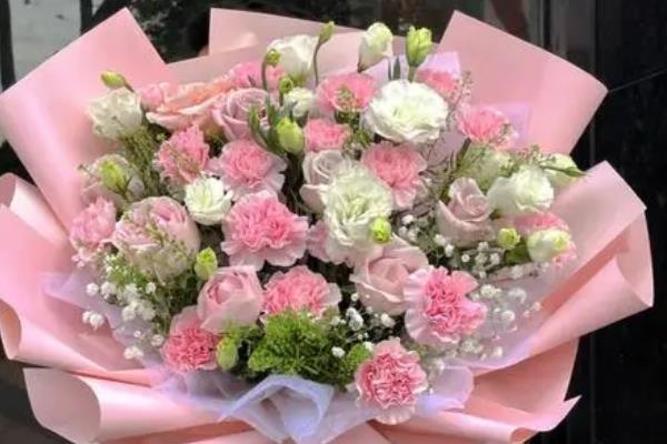 粉色康乃馨的寓意，寓意美丽、年轻等