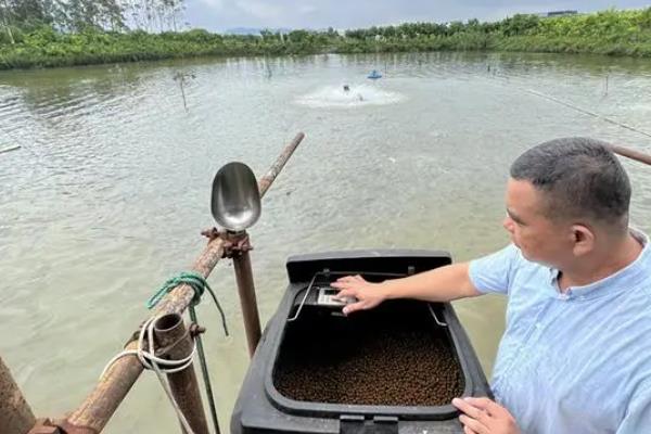 黄鳝的养殖方法，养鱼苗前要对池塘进行消毒工作