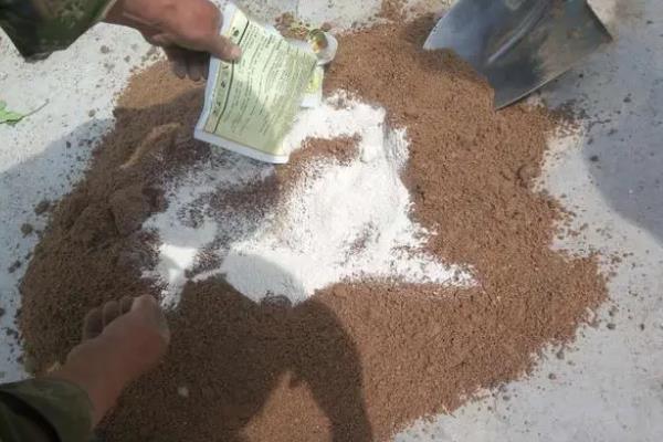 地下害虫如何防治，可用药剂拌种或撒毒土