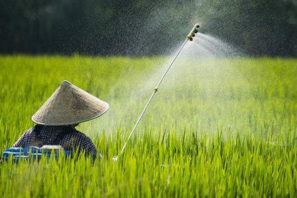 地下害虫如何防治，可用药剂拌种或撒毒土