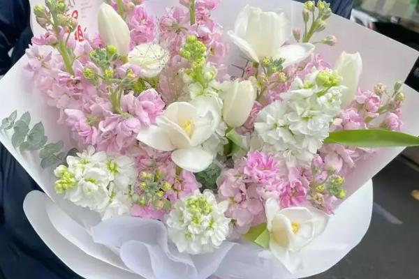 紫罗兰鲜切花可以养几天，正常情况下可以养7-20天