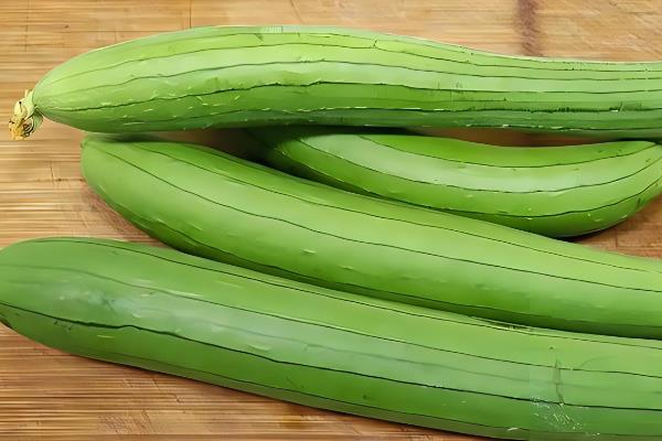 北方8月份适合种哪些菜，有丝瓜、茄子、芹菜等多个选择