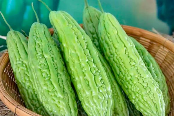 北方8月份适合种哪些菜，有丝瓜、茄子、芹菜等多个选择