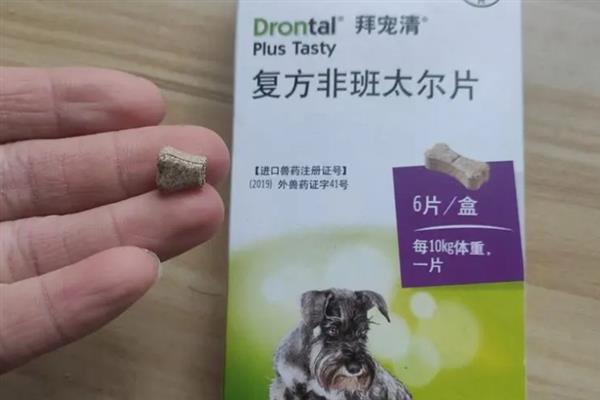 狗体内驱虫适合用什么药，拜宠清、大宠爱等药物是适宜选择