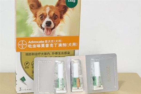 狗体内驱虫适合用什么药，拜宠清、大宠爱等药物是适宜选择