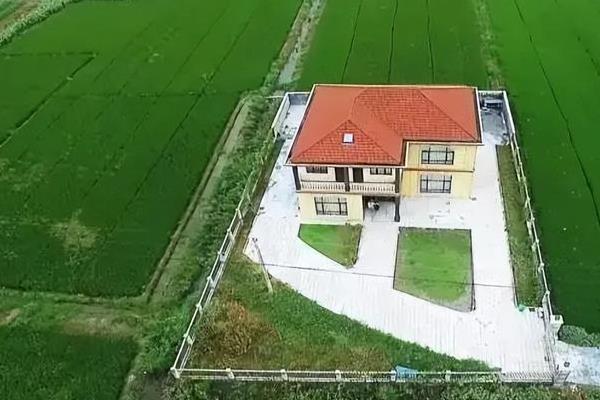 耕地非粮化不可以种植什么，不可种植树木和蔬菜等