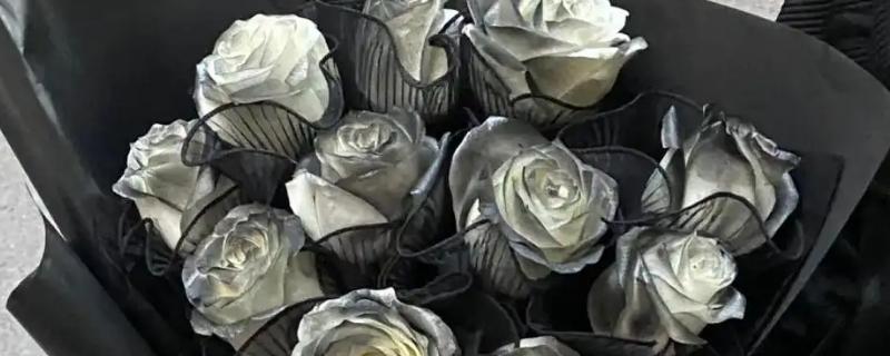 黑骑士玫瑰的花语，具有忠诚、温柔真心、独一无二等含义