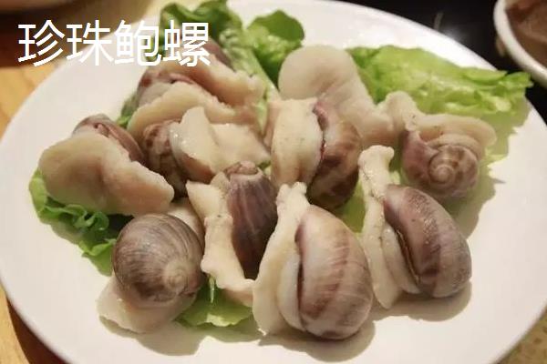 珍珠鲍螺的产地,主要分布在广东、湖南、江苏等地