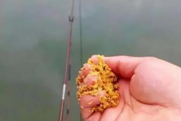 天下鲤和螺鲤哪个效果更好，因鱼情、水情、季节条件而异
