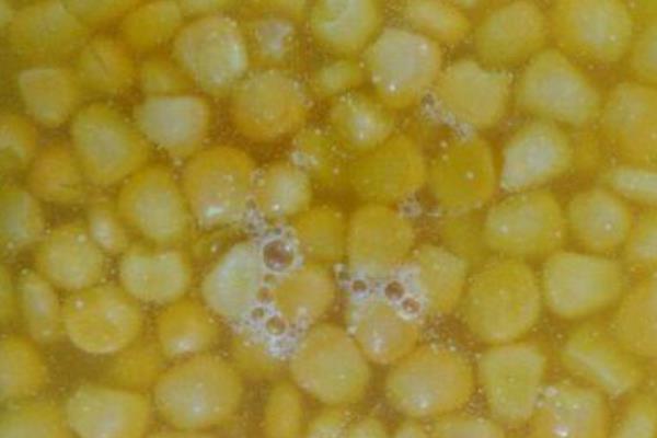 冬季用嫩玉米钓鱼好不好，鱼儿食欲下降垂钓效果一般